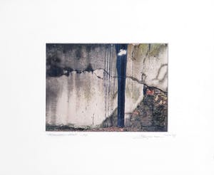 Ed Hoogenboom - en anderen - Krijt, aquarel, foto, Kunstkist kopen? Bied vanaf 50!