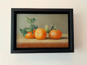 Hans Habraken - Mandarijnen kopen? Bied vanaf 179!