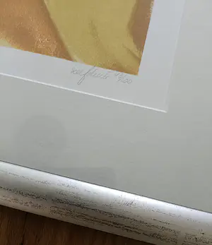 Jona Blom - Prodent Smile ! kopen? Bied vanaf 40!