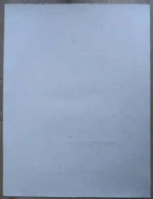 Ansuya Blom - Das Pferd von Kaspar kopen? Bied vanaf 20!