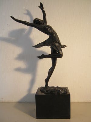 Corry Ammerlaan - Sprong naar de vrijheid kopen? Bied vanaf 75!