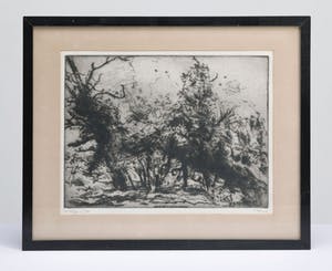 Geer Steyn - geen titel kopen? Bied vanaf 20!