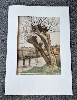 Adrianus Johannes Grootens - Fraaie jaren 30 kleuren zeefdruk "Knotwilg" - potloodgesigneerd kopen? Bied vanaf 42!