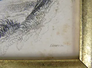 Buy Edward Lear - Osprey? Bid from 22!