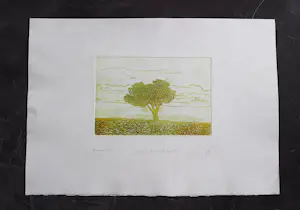 Eduard Flor - Fraaie handgekleurde diepdruk/reliëf Ets - kleine oplage (60) - potloodgesignrd kopen? Bied vanaf 47!