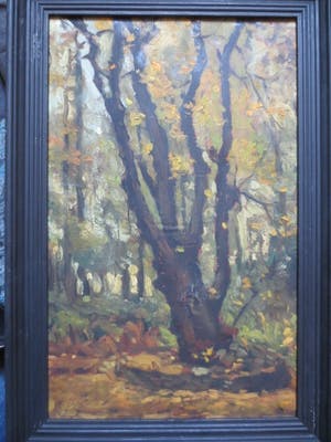 Cornelis Kievit - Dwarreling. kopen? Bied vanaf 100!