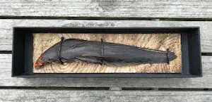 Yvonne Struys - Vleugel. Animalia. kopen? Bied vanaf 119!