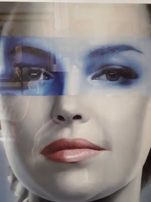 Jan Bollaert - Lambdaprint, Dept of Art Sanitation,ingelijst kopen? Bied vanaf 35!