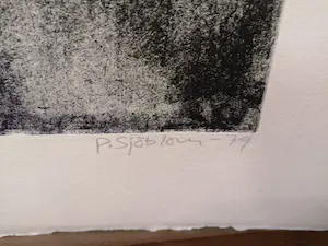 Peter Sjoblom - Kleurets kopen? Bied vanaf 39!