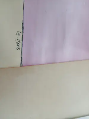 Gerrit van Dijk - Pink Morris Show kopen? Bied vanaf 150!