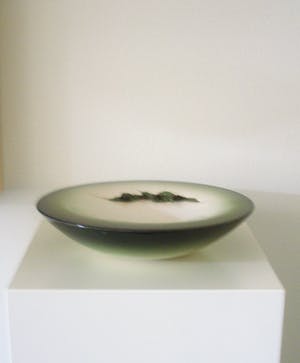 Toon Thijs - Schildpadschaal kopen? Bied vanaf 125!