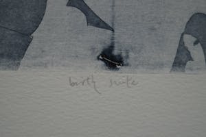 Mark Visione - Birth suite kopen? Bied vanaf 20!