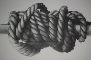 Roger Wittevrongel - Het Touw kopen? Bied vanaf 100!