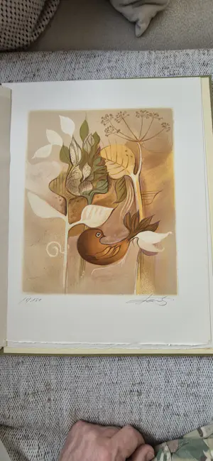 Dieter Framke - FLORA UND FAUNE kopen? Bied vanaf 700!