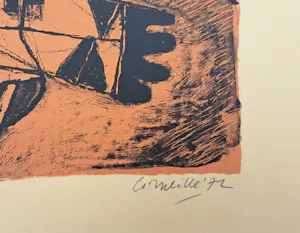 Corneille - Rose tropique kopen? Bied vanaf 250!