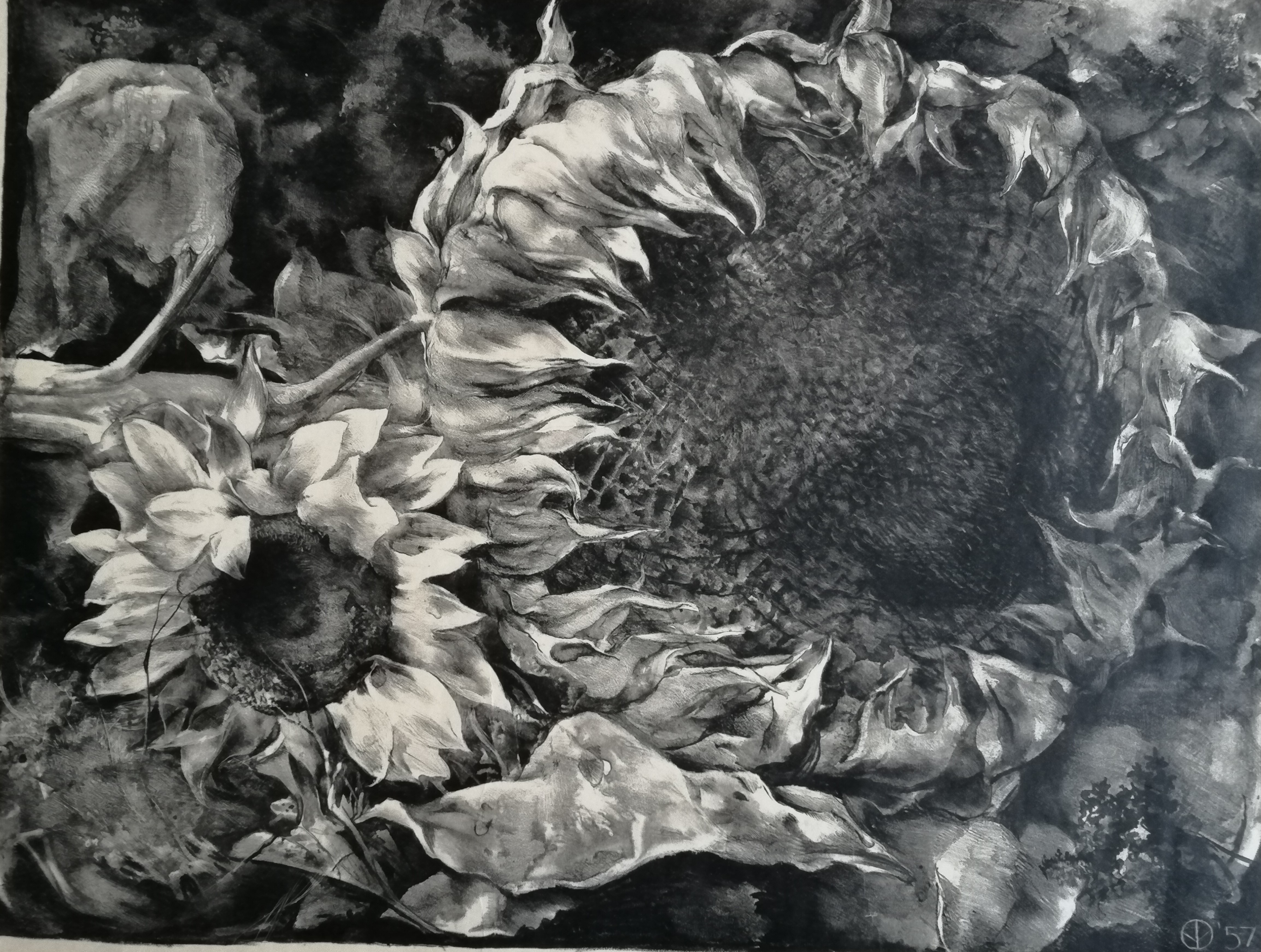 Aart van Dobbenburgh - Zonnebloemen kopen? Bied vanaf 30!