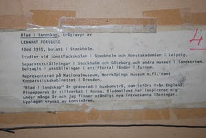 Lennart Forsberg - grote houtgravure, handdruk * * Blad in Landschap ** kopen? Bied vanaf 60!