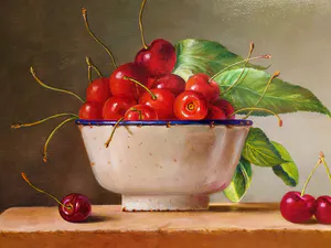 Hans Habraken - Emaillen schaal met kersen kopen? Bied vanaf 525!