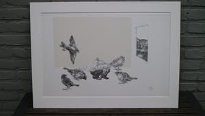 Peter Vos - oude man tussen mussen kopen? Bied vanaf 75!