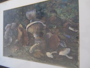 Alex Dorgelo - Ingelijste aquarel paddestoelen kopen? Bied vanaf 25!