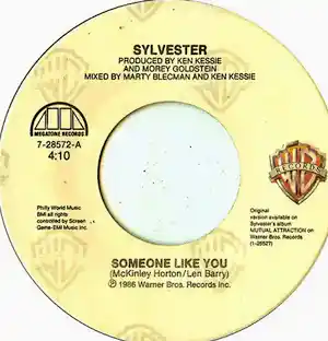 Sylvester - Sylvester - Sylvester - “Someone like you” - 7" vinyl verkauft für € 1!