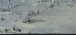 Johannes K. Veerman - Olieverf op doek, Kennemerduinen kopen? Bied vanaf 1!