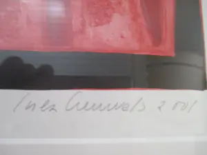 Inez Creuwels - Litho "in de Maneschijn" in mooie Barth lijst! kopen? Bied vanaf 1!