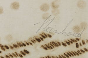 Reinhoud D'Haese - Aquatint, Uitgave Avant Galleries New York met 8 aquatints kopen? Bied vanaf 1!