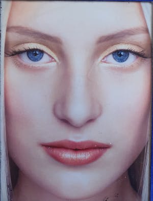 Erwin Olaf - Renee - Gesigneerd - Genummerd HC XX/XX - 2001 kopen? Bied vanaf 495!