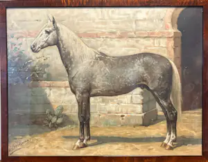 Otto Eerelman - Chromolithografie, nr.36 Het Algierse Paard kopen? Bied vanaf 55!