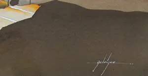 Bruno Delvigne - "Opkomende Zon in Landschap" kopen? Bied vanaf 25!