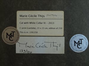 Marie Cecile Thijs - Ingelijste foto uit de serie 'White Collar', Cat with White Collar IV - 2013 kopen? Bied vanaf 1500!