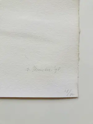 Jan van Munster - Pyrografie - IK kopen? Bied vanaf 225!