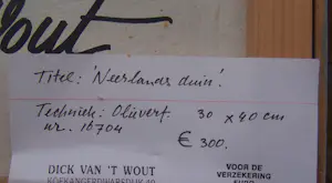 Buy Dick van 't Wout - Neerlands Duin? Bid from 60!