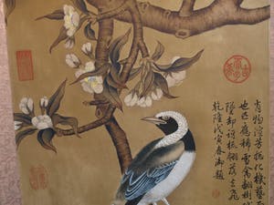 Niet of onleesbaar gesigneerd - Japanse of Chinese scroll, “Vogel op tak” - Aquarelverf en inkt op papier kopen? Bied vanaf 1!