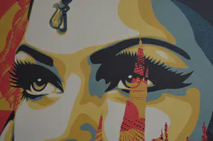 Shepard Fairey - Target Exceptions - gesigneerd kopen? Bied vanaf 1!