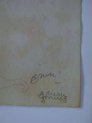 Bruno Bruni - AMARYLLIS Handgesigneerde kleurenlitho, vanaf € 1. kopen? Bied vanaf 1!