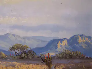 Don Benzien - Zuidafrikaans landschap kopen? Bied vanaf 50!
