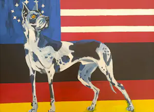 Ivo Kamphuis - Duitse Dog kaufen? Bieten Sie von 25!