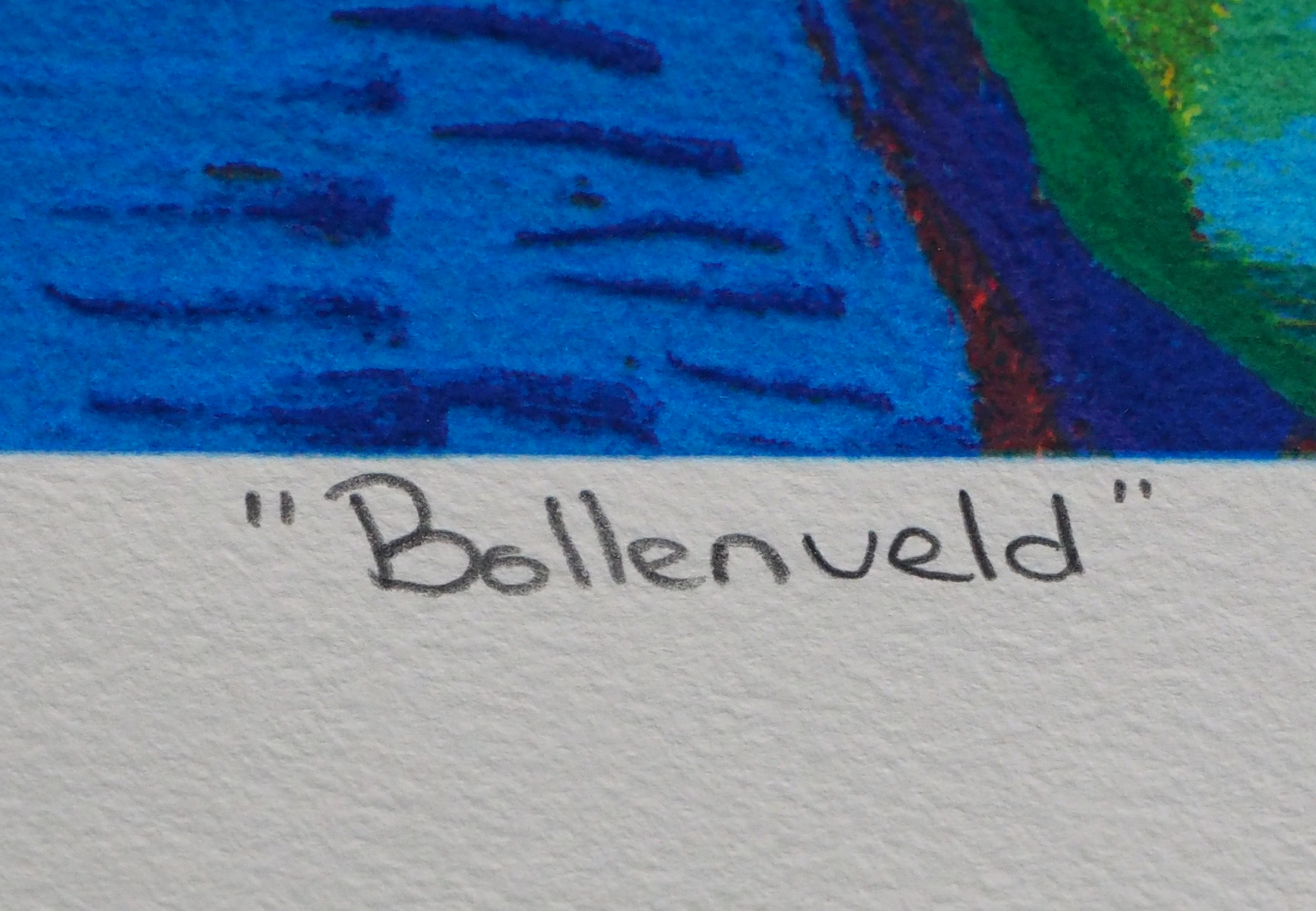 Jentsje Popma - Bollenveld kopen? Bied vanaf 50!