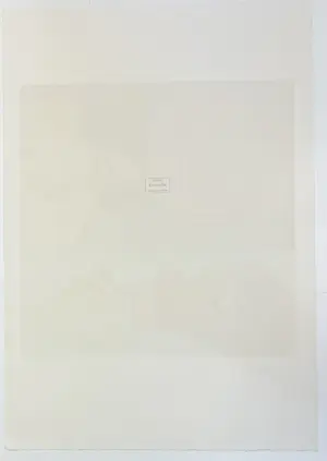 Corneille - Grote litho Zonnevogel, 1994 kopen? Bied vanaf 750!