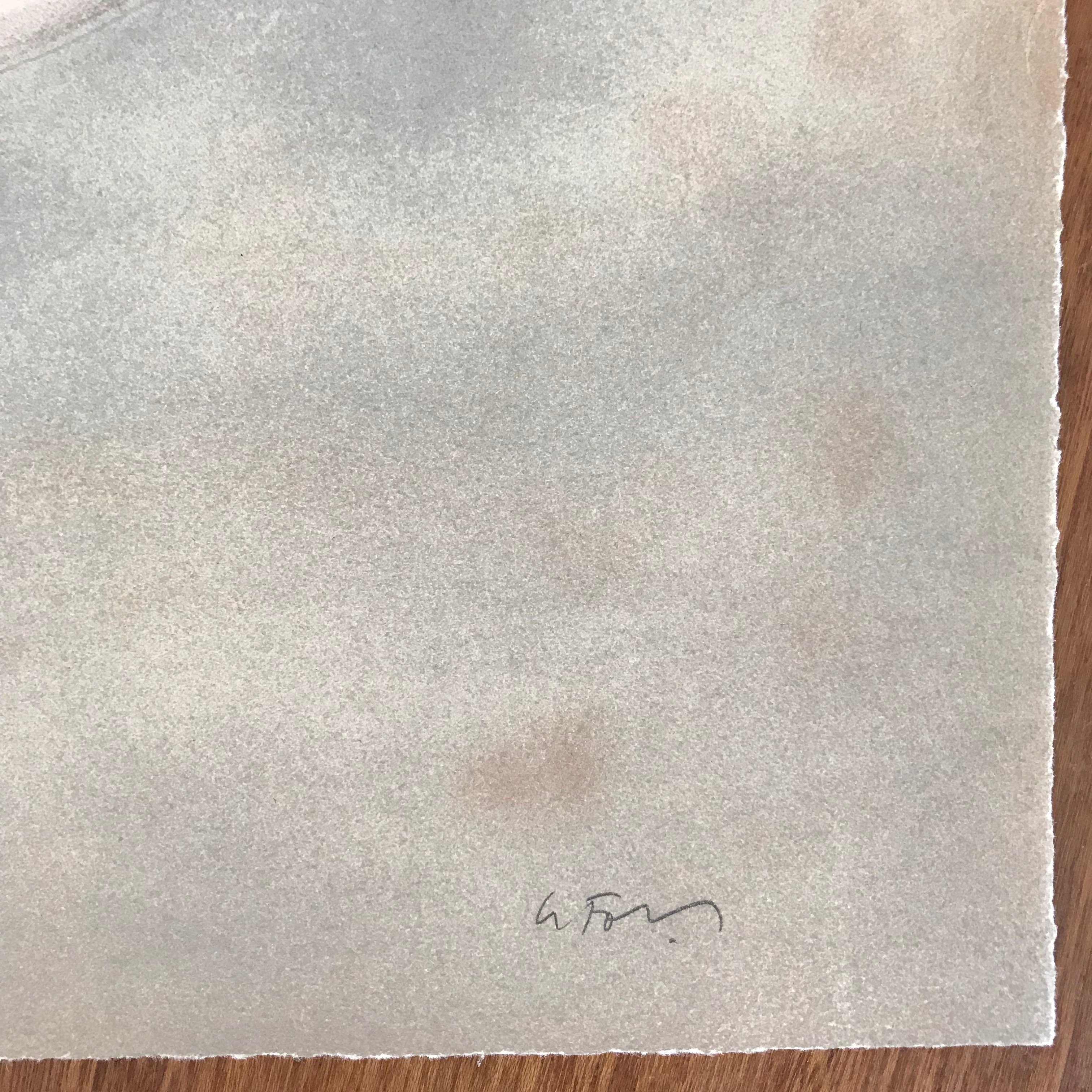 Alain Le Foll - Lithografie - HC - Gesigneerd - Zonder lijst kopen? Bied vanaf 35!