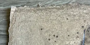 Sjaak Korsten - Zonder titel kopen? Bied vanaf 30!