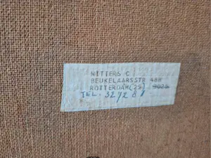 Cornelis Witters - Spin in web kopen? Bied vanaf 75!