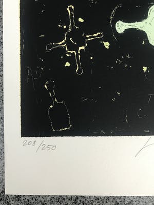 Fik Van Gestel - Gesigneerde zeefdruk - 1992 - "Toeval" - 208/250 kopen? Bied vanaf 25!