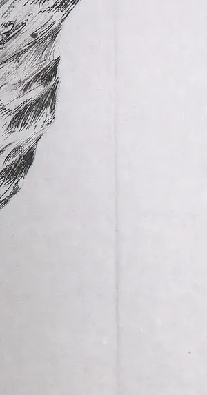 Geertjan van Oostende - Droge naald op Japans papier, In het donker sterft de wens kopen? Bied vanaf 1!