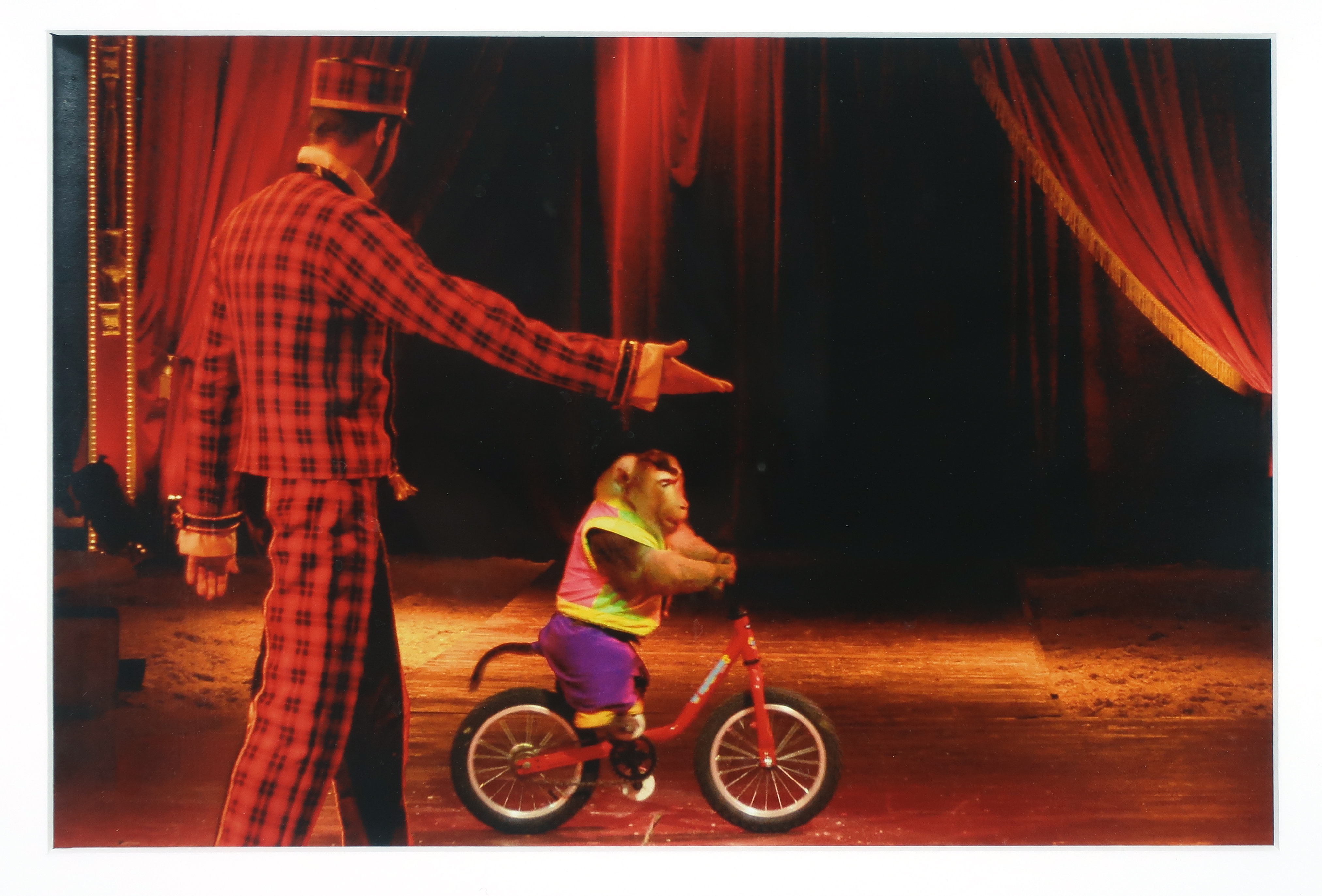 Niet of onleesbaar gesigneerd - Foto, Circus - Ingelijst kopen? Bied vanaf 1!