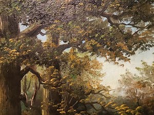 Niet of onleesbaar gesigneerd - Bos met water kopen? Bied vanaf 1!