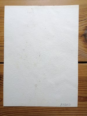Niet of onleesbaar gesigneerd - Originele aquarel - Christa Pyroth kopen? Bied vanaf 10!
