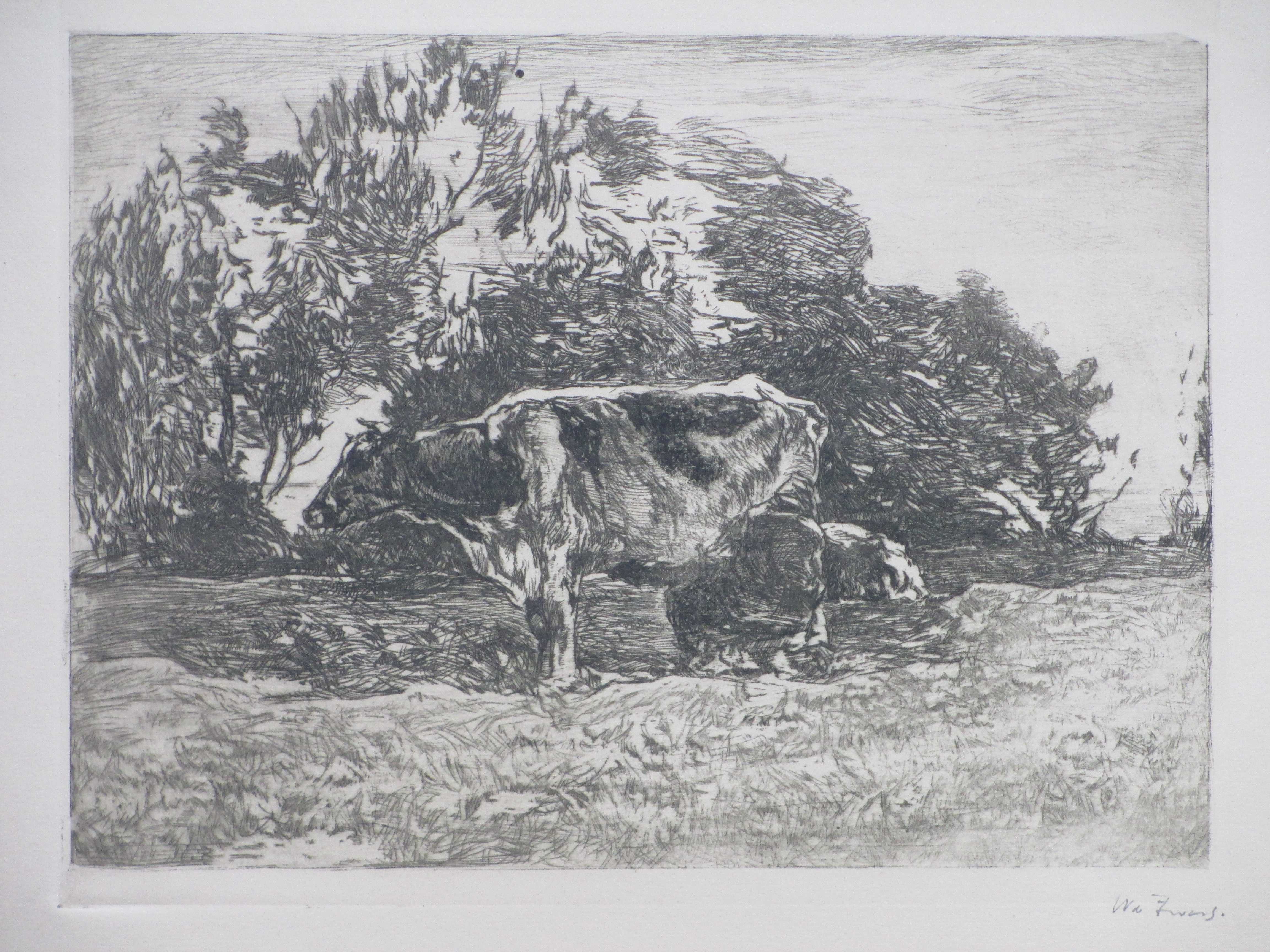 Willem de Zwart (1862-1931)